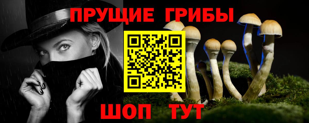 Галлюциногенные грибы Psilocybine cubensis  Галлюциногенные грибы прущие грибы  купить   Вход с VPN  Орехово-Зуево 